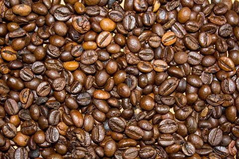 Coffee Beans Stock Photos