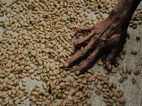 COFFEE BEANS Stock Photos