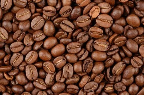 Coffee beans Stock Photos
