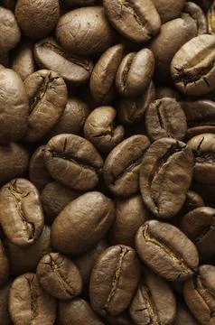 Coffee beans Stock Photos