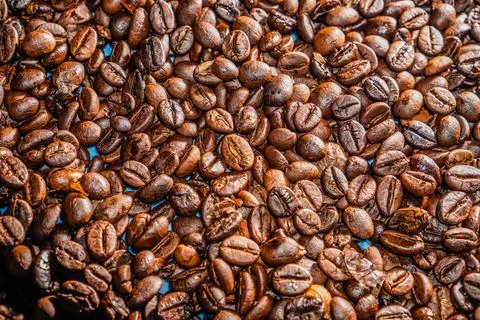 Coffee beans Stock Photos