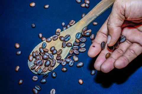 Coffee beans Stock Photos