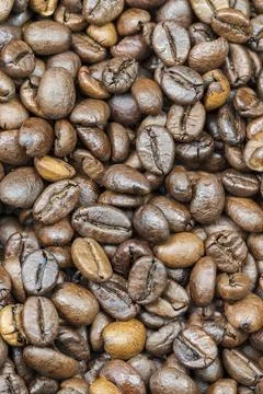 Coffee beans photographed as a solid texture background. Stock Photos