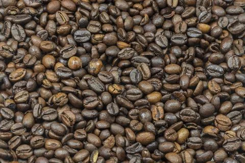 Coffee beans photographed as a solid texture background. Stock Photos