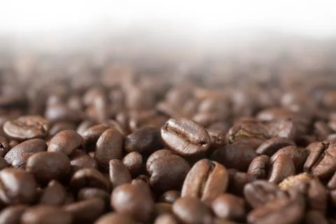 Coffee beans on a pile Stock Photos