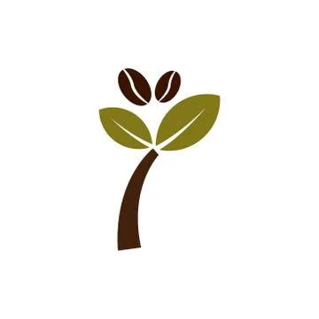 Coffee beans plant vector design template illustration Stock Illustration