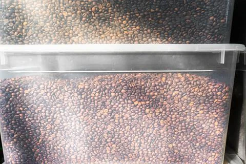 Coffee beans in plastic containers. a lot of roasted coffee beans in the sun. Stock Photos