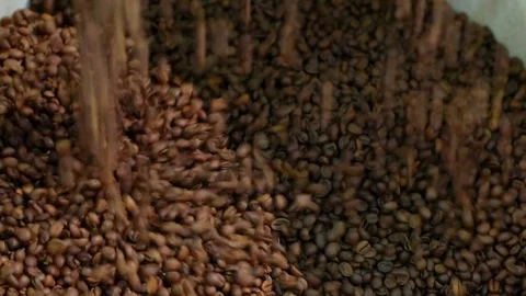 Coffee beans is poured into a bucket Stock Footage 72707583