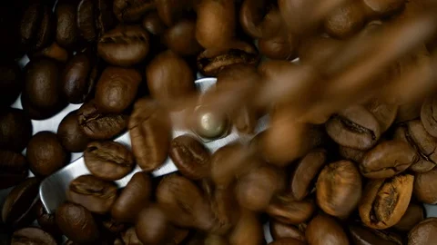 Coffee beans poured in Electric grinder and grind High angle view audio montage Stock Footage