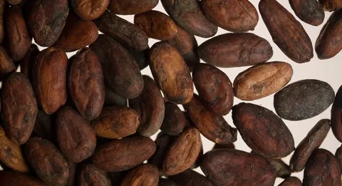 Coffee beans pouring on board bottom view closeup Slow Motion Stock Footage 103642369