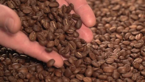 Coffee beans pouring from hands close up macro shot Slow Motion Stock Footage 107942036