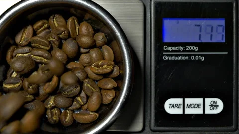 Coffee beans pouring while being weighed on a digital scale. Stock Footage 279918529