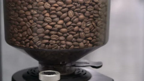 Coffee beans pray in a coffee grinder Stock Footage 125123275