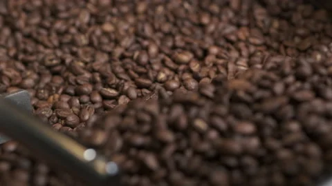 Coffee beans in the process of drying 库存影片 209311119