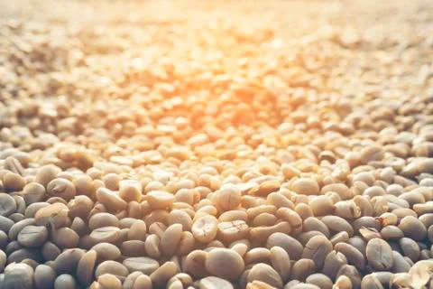 Coffee beans process in Thailand Stock Photos