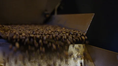Coffee beans on a production line conveyor belt being prepped for packing Stock Footage 101214416