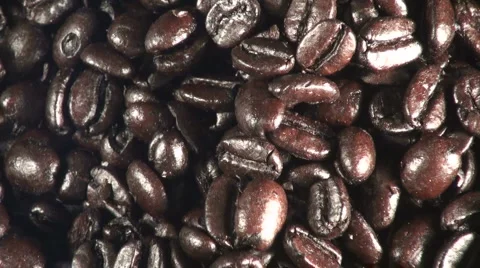Coffee Beans pull Stock Footage 1050425