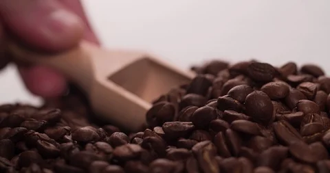 Coffee beans putting with Scoop 4K video Stock Footage 108780941
