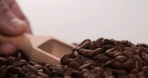 Coffee beans putting with Scoop slow motion 4K video Stock Footage 108781266