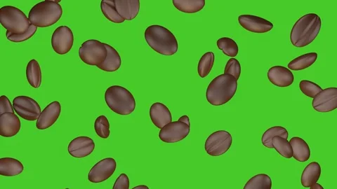 Coffee beans rain on green screen. 3D animation. Stock Footage 303888806