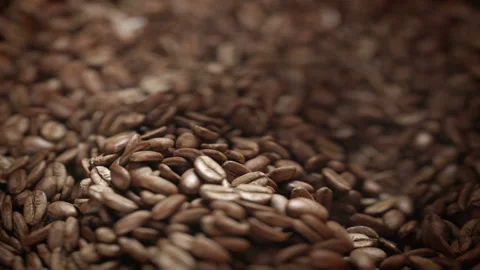 Coffee beans roasted in grinder machine in 4K Stock Footage 163440151