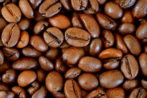 Coffee beans roasted. Stock Photos