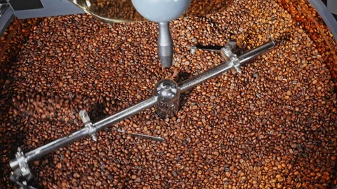Coffee Beans in Roaster Machine Stock Footage 242409444