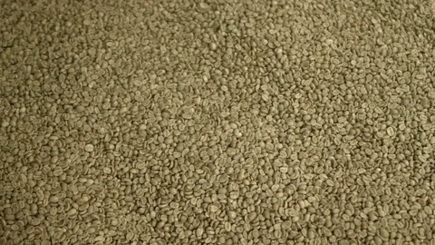 Coffee beans before roasting Stock Footage 84647644