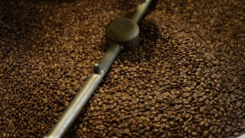 Coffee beans roasting Stock Footage 96219879
