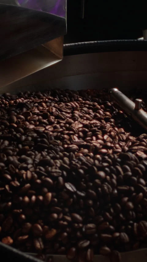 Coffee beans roasting Stock Footage 293899677