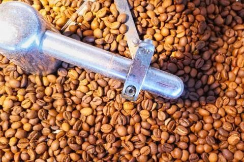 Coffee beans on the roasting machine Stock Photos