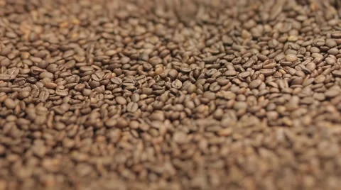 Coffee beans in the roasting machine. Selective focus. Copy space Stock-Footage 43482801
