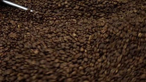 Coffee beans roasting process with roasting machine.	 Stock Footage 209529590