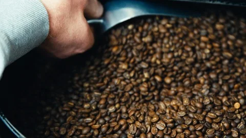 Coffee Beans Roasting in Roaster Stock Footage 123729675