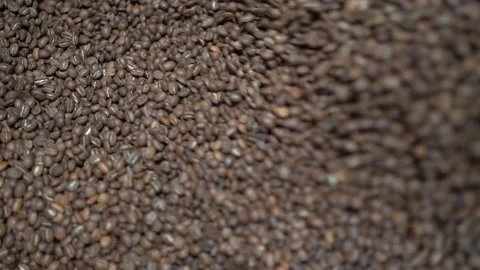 Coffee Beans Roasting In Roaster Machine, High Angle Closeup View Stock Footage 180705284