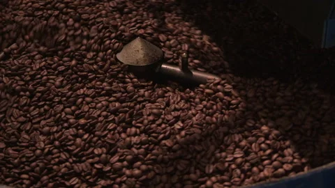 Coffee beans rotating in drum roaster Stock Footage 236478244