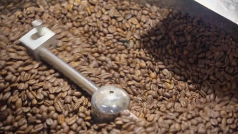 Coffee Beans Rotating in Industrial Roasting Machine Stock Footage 333506759