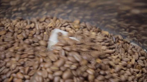 Coffee Beans Rotating in Industrial Roasting Machine 库存影片 333506809