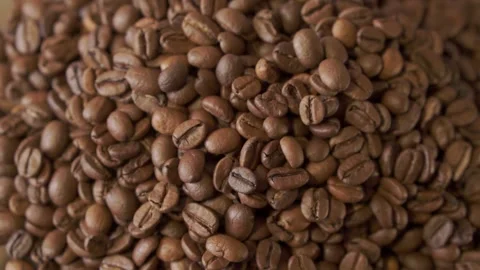 Coffee beans in rotation. Mixed Robusta and Arabica roasted Coffee beans. Co Stock Footage 195158921