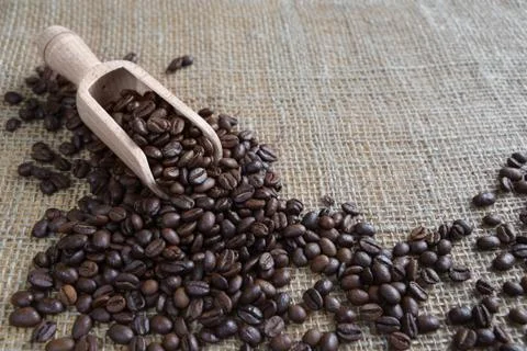 Coffee beans on the rough burlap Stock Photos