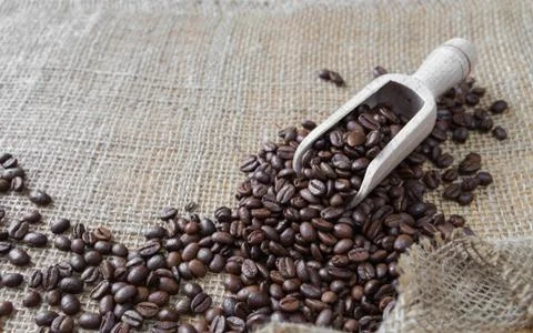 Coffee beans on the rough burlap Stock Photos