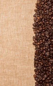Coffee beans in a row on a canvas background Stock Photos