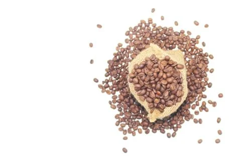 Coffee beans in a sack bag on white background Stock Photos