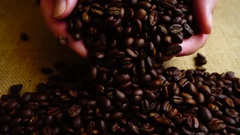 Coffee beans on the sack. Slow motion. Stock Footage 132217711