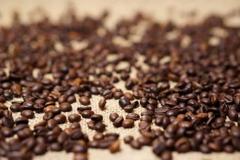Coffee beans on sackcloth Stock Photos