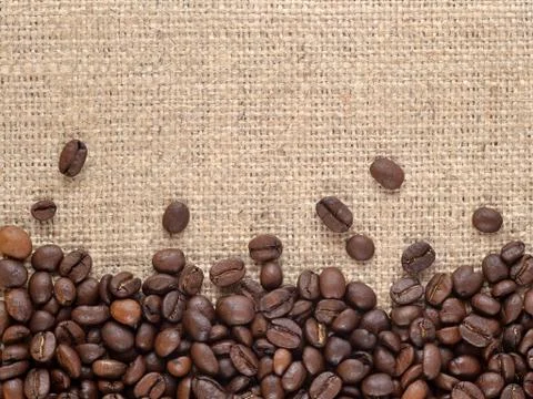 Coffee beans in a sacking background Stock Photos