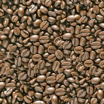 Coffee beans seamless background. Stock Photos
