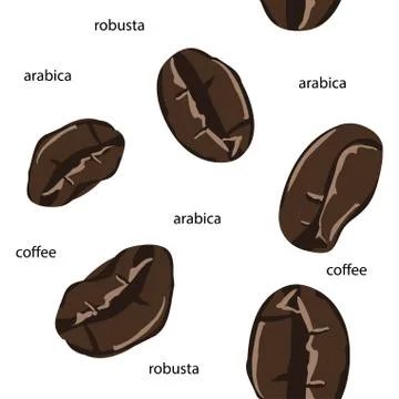 Coffee beans seamless pattern in abstract style. Vector hand drawing illustra Stock Illustration