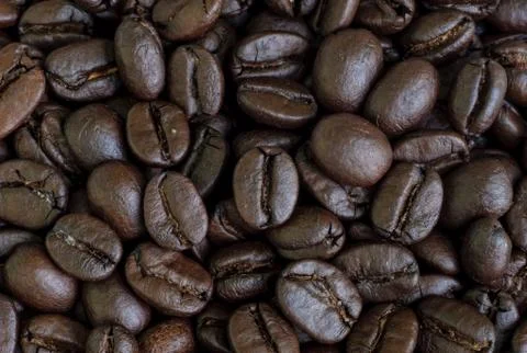 Coffee beans seed Stock Photos