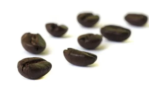Coffee beans seed  . Stock Photos